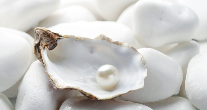 Oyster shell with pearl on white stones, closeup