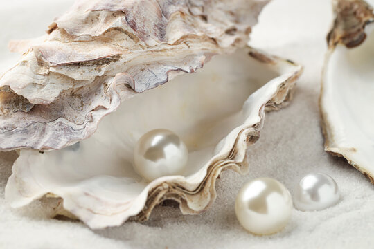 Oyster shell with pearls on sand, closeup