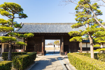 Fototapeta premium 日本の風景 香川 日本100名城 丸亀城 玄関先御門