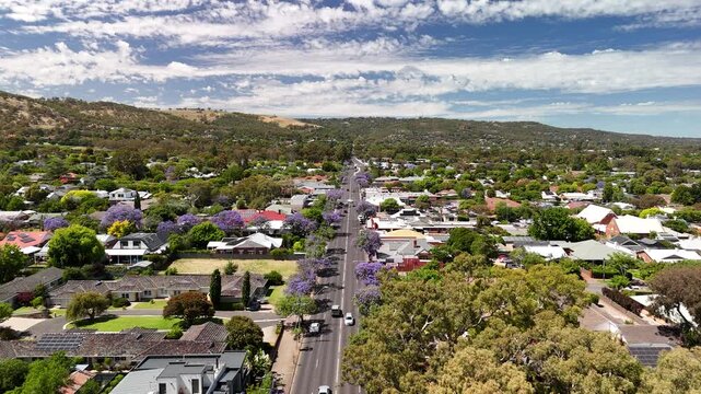 Fullarton, Adelaide, South Australia &ndash; 4K Aerial Drone Footage of, Houses and Estates, Jacaranda Trees, Gridded Streets, Urban Housing and nearby Residential Suburbs of Myrtle Bank, Highgate