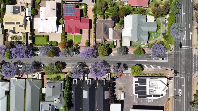 Fullarton, Adelaide, South Australia &ndash; 4K Aerial Drone Footage of, Houses and Estates, Jacaranda Trees, Gridded Streets, Urban Housing and nearby Residential Suburbs of Myrtle Bank, Highgate