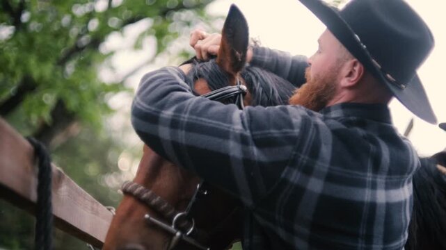 A cowboy harnesses a horse on a farm