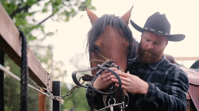 A cowboy harnesses a horse on a farm
