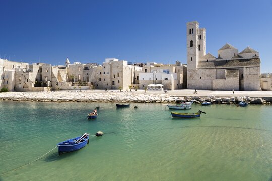 Fishing boats in the harbor, historic centre and Romanesque Old Cathedral, San Corrado, Molfetta, Bari Province, Apulia, Italy