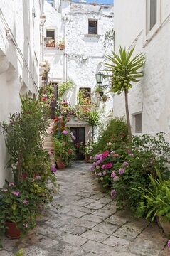 Narrow street with flowerpots, Locorotondo, Puglia, Italy