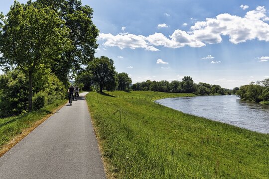 Cyclist on the Weser, on the Weser cycle path in summer, long-distance cycle path, backlight, Holzminden, Germany