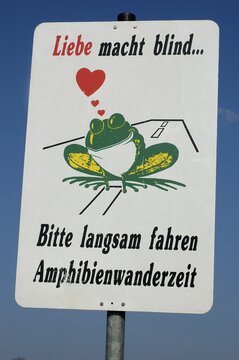 Sign with frog drive slowly, migration of amphibians