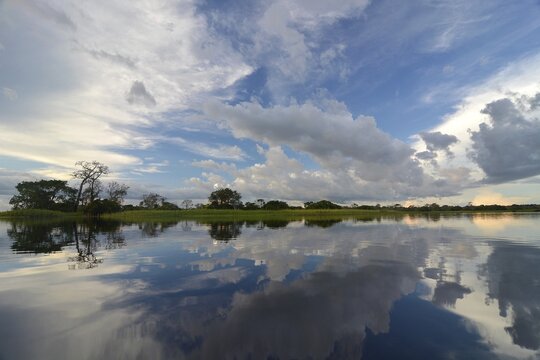 Evening at a widened part of the Amazon or Rio Solim&otilde;es, Mamiraua Sustainable Development Reserve, near Manaus, Amazonas State, Brazil