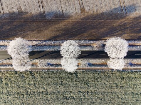Drone shot, avenue with hoarfrost, Peine district, Lower Saxony, Germany