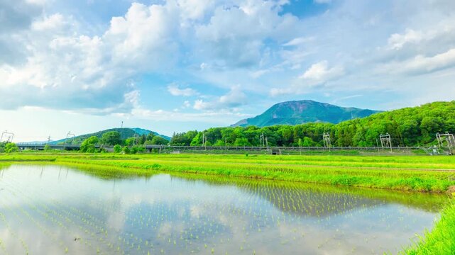 滋賀県・初夏の水田に映る伊吹山と新幹線 タイムラプス