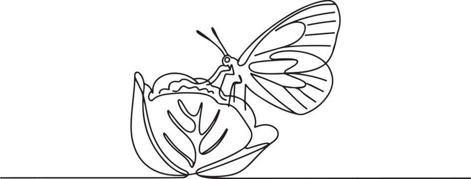 One caterpillar cabbage butterfly is eating cabbage leaf on a white background. one line Art icon drawing vector