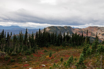 autumn in the mountains glade © Ян Кашенко
