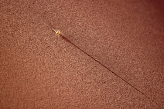 View of a small stone casting a long shadow on the textured surface of a red sand dune in the Valley of the Moon San Pedro de Atacama, Antofagasta, Chile.