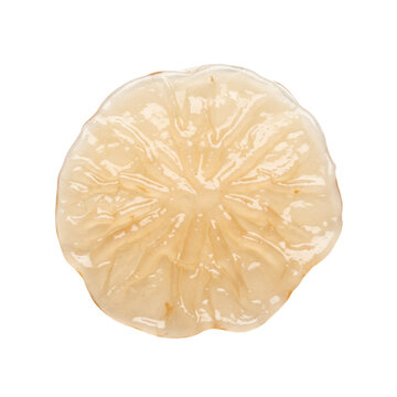 Translucent gelatinous kombucha scoby with irregular layered texture and amber hue, centered on a stark white studio background, concept of biological fermentation