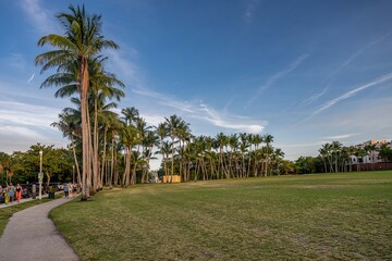 Obraz premium miami coconut grove, florida