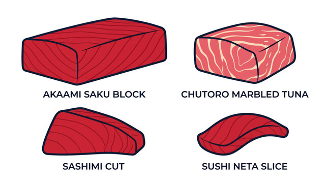 Japanese Raw Tuna Sashimi Cuts and Saku Block Vector Illustration