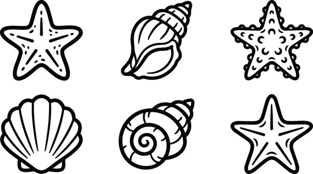 Vector line art set of shells and starfish in black and white outline for crafts and logos