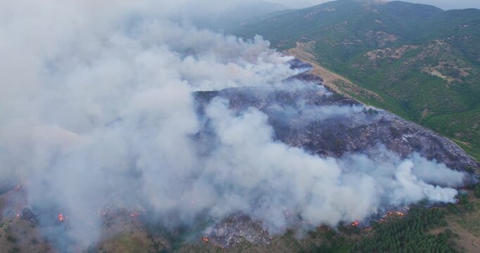 Aerial View of Wildfire Burning Through Mountain Forest Landscape