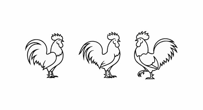 Three black and white rooster illustration set standing.