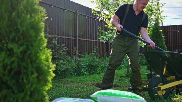Strong man in work clothes digging a hole in the green grass with a shovel, preparing to plant a tree in the backyard on a sunny day with a wheelbarrow full of soil nearby