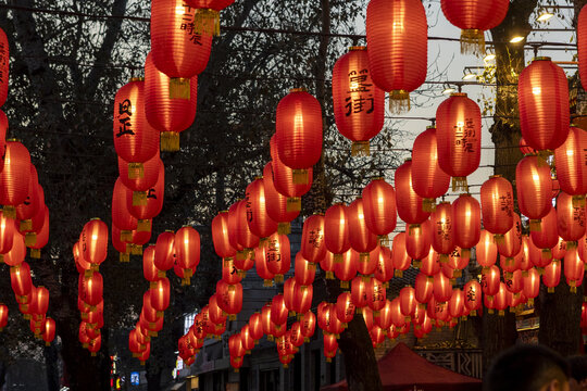 View of numerous rows of glowing red Chinese lanterns with black calligraphy hanging from trees during a festive evening celebration Beijing, Beijing, China.