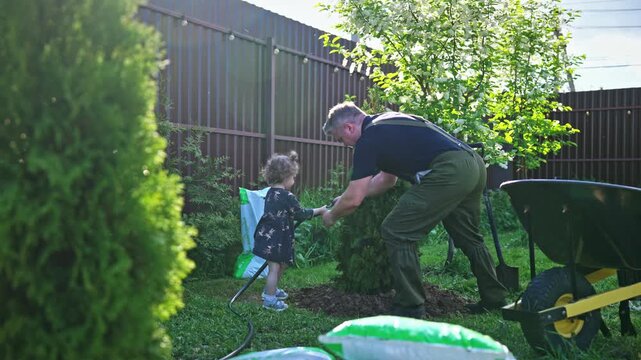 Loving grandfather teaching his little granddaughter how to water a newly planted thuja tree in their backyard garden, sharing a special moment and creating lasting family memories