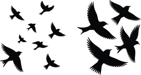 Fototapeta premium Flying Swallow Bird Silhouette Collection with Black Isolated Wildlife Shapes for Nature Vector Design Projects