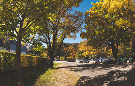 arrowtown in autumn new zealand beautiful scenery landscape golden leaves colours trees
