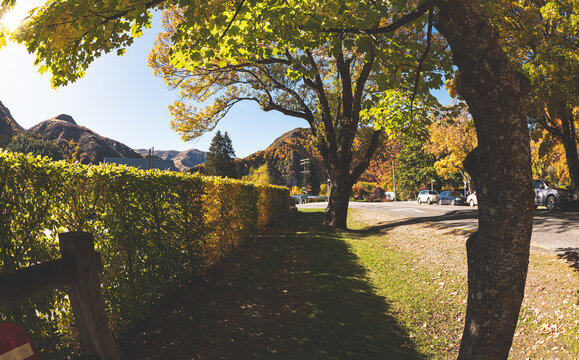 arrowtown in autumn new zealand beautiful scenery landscape golden leaves colours trees