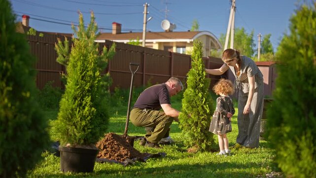Loving family, including a grandfather, mother, and little girl, planting a young thuja tree together in their backyard, enjoying a sunny day of gardening and bonding as a multi generational group