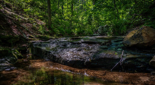 View of Pickle Springs Natural Area with a shallow stream flowing over flat rocks surrounded by lush green forest and dappled sunlight New Offenburg, Missouri, United States.