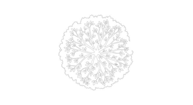 Detailed Illustration of a Virus Particle Structure.