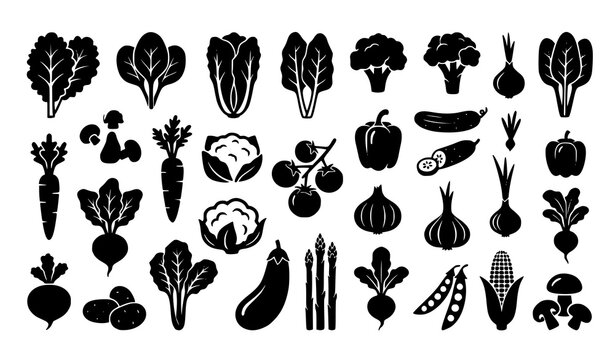Organic green vegetables and healthy farm food silhouette vector icon collection with lettuce spinach broccoli carrot onion tomato and pepper isolated on white background
