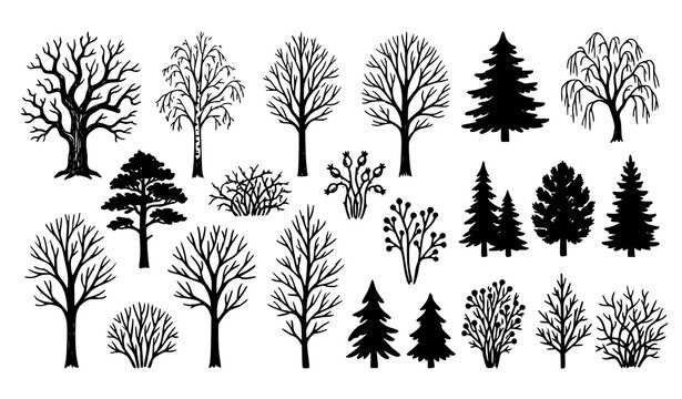 Forest trees and bushes silhouette vector isolated set with pine oak birch fir and bare winter branches for landscape architecture graphic design elements