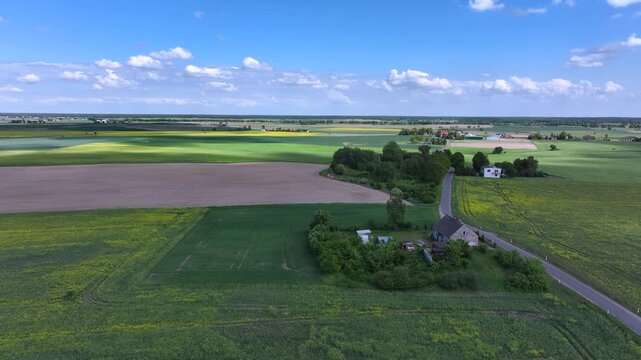 Aerial beautiful yellow Rapeseed farm house Poland 2. North Poland. rural agricultural landscape. Bright yellow Rape seed canola oil plants. Farming economy food vegetable oil biodiesel production.