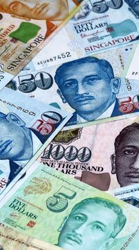Singapore dollar money bills in pile on table. Singapore SGD currency cash close up