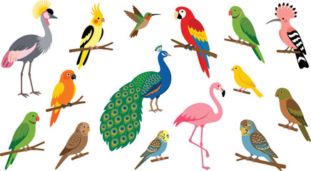 Exotic Tropical Bird Vector Set with Peacock Macaw Flamingo Parrots and Budgies Perching on Branches for Zoo Wildlife and Nature Graphic Designs © MdSaddam