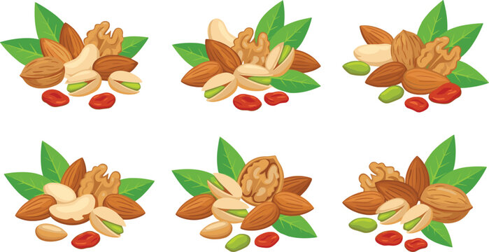 Mixed Nuts Vector Set with Almonds Walnuts Pistachios Cashews and Green Leaves for Healthy Snack Diet Food Packaging and Grocery Graphic Designs