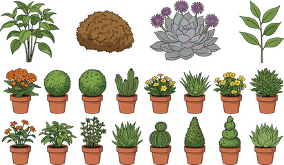 Illustrated plant collection featuring potted succulents, flowering shrubs, and leafy greenery in decorative botanical style © It's Marja