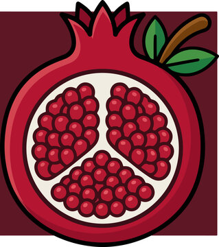 Pomegranate Fruit Illustration.