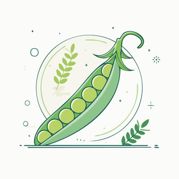 Illustration of a fresh pea pod with peas