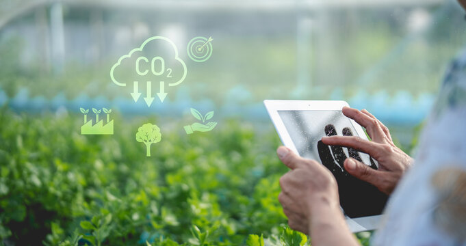 Person uses tablet in lush green field, symbolizing sustainable agriculture and technology integration with icons representing CO2 reduction