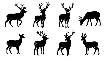 Fototapeta premium Collection of eight black deer silhouettes in different standing poses wildlife vector set