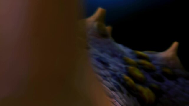 Micro world hidden ecosystem under microscope representing aquatic protist biodiversity and microscopic organic biosphere exploration in 4K Ultra HD footage
