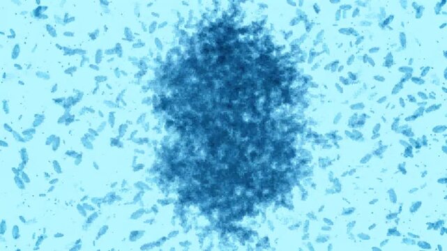 US dollar currency sign formed by microbes colony swarm representing paper money contamination and financial biosecurity hygiene risk in 4K Ultra HD footage
