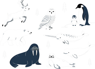 Arctic and Antarctic Animal Vector Set Featuring Polar Bear, Narwhals, Walrus, Seals, Penguins, Owl, and Reindeer in Minimalist Winter Style © MDEsmayil