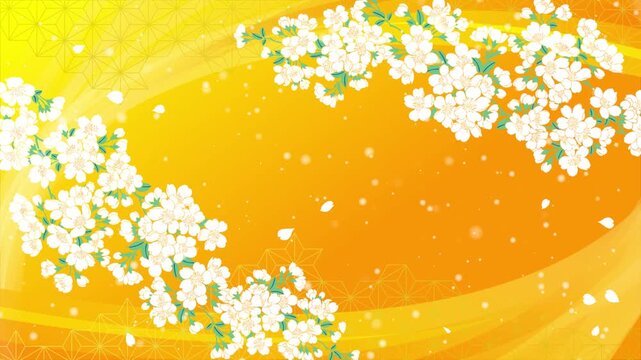 花びらが舞う満開の桜　華やかなオレンジ色の背景