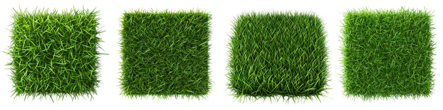 Set of Four Green Grass Patches Isolated on White Background - Nature Texture and Landscape Element Collection
