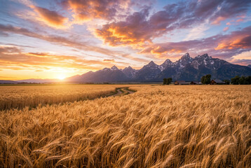 Obraz premium Golden wheat field at sunset with majestic mountain range and dramatic cloudy sky
