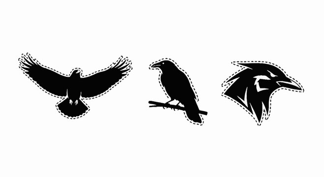 Black raven and crow silhouettes with dashed borders